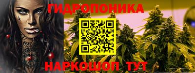 молекула духа Кандалакша